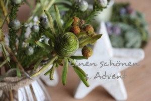 2. Advent 2015