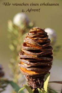 MisGrosi - Kinderbetreuung Advent