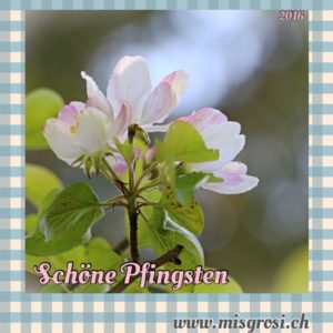 MisGrosi Pfingsten 2016