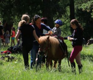 MisGrosi Kinderbetreuung Ponyreiten
